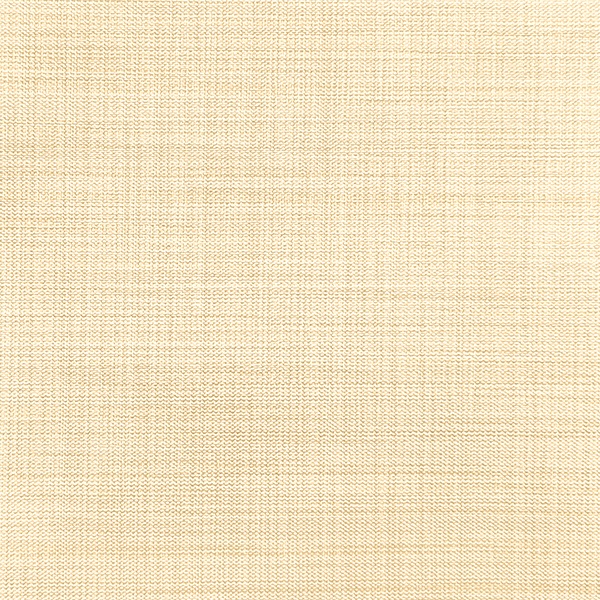 Ткань для рулонных штор Benone 7858 - изображение 1 - заказать онлайн в салоне штор Benone в Бронницах